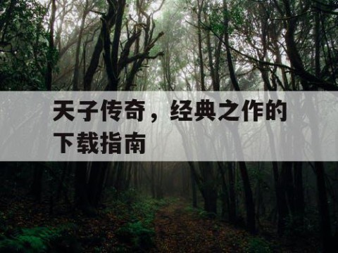 天子传奇，经典之作的下载指南