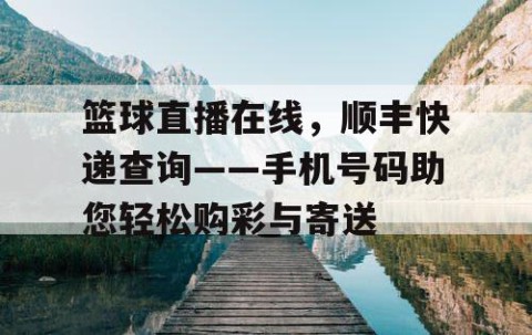 篮球直播在线，顺丰快递查询——手机号码助您轻松购彩与寄送