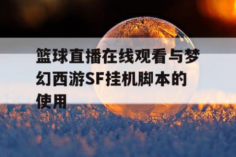 篮球直播在线观看与梦幻西游SF挂机脚本的使用