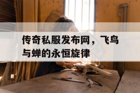 传奇私服发布网,飞鸟与蝉的永恒旋律