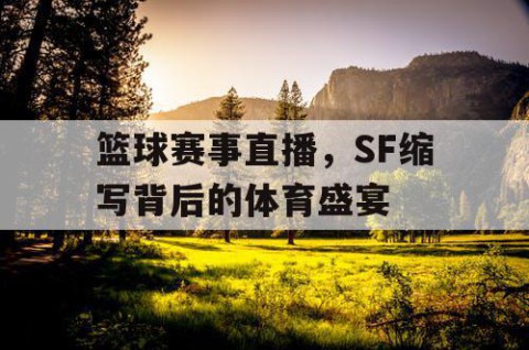 篮球赛事直播，SF缩写背后的体育盛宴