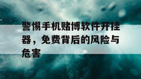 警惕手机赌博软件开挂器，免费背后的风险与危害
