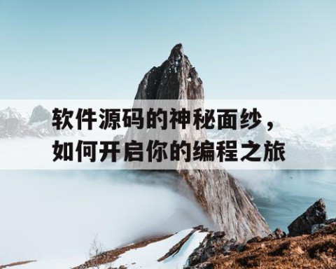 软件源码的神秘面纱，如何开启你的编程之旅