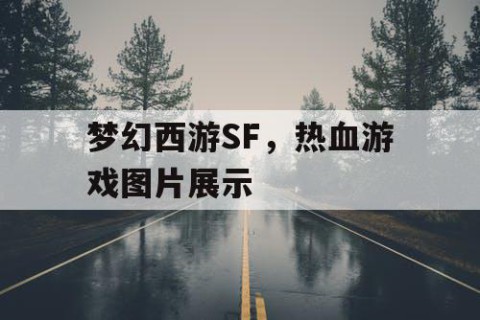 梦幻西游SF，热血游戏图片展示