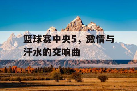 篮球赛中央5，激情与汗水的交响曲