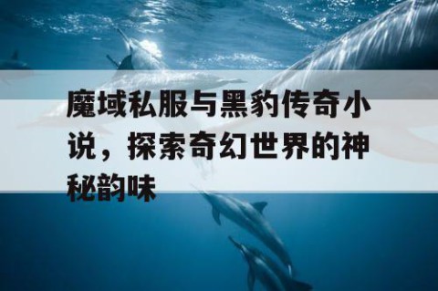 魔域私服与黑豹传奇小说，探索奇幻世界的神秘韵味