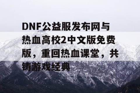 DNF公益服发布网与热血高校2中文版免费版，重回热血课堂，共铸游戏经典