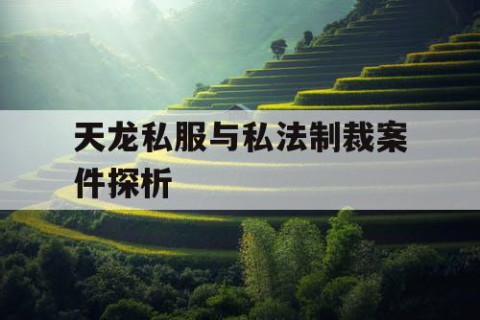 天龙私服与私法制裁案件探析