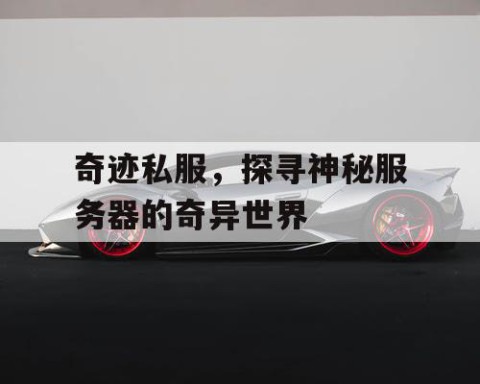 奇迹私服，探寻神秘服务器的奇异世界