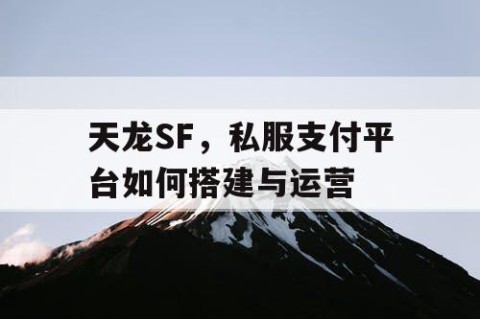天龙SF，私服支付平台如何搭建与运营