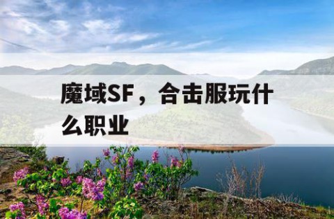 魔域SF，合击服玩什么职业