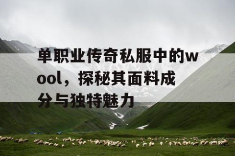 单职业传奇私服中的wool，探秘其面料成分与独特魅力