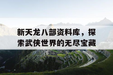 新天龙八部资料库，探索武侠世界的无尽宝藏