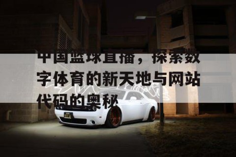 中国篮球直播，探索数字体育的新天地与网站代码的奥秘