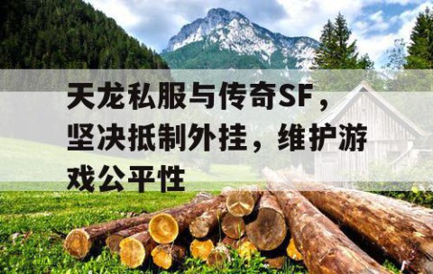 天龙私服与传奇SF，坚决抵制外挂，维护游戏公平性