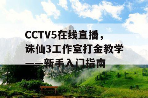 CCTV5在线直播，诛仙3工作室打金教学——新手入门指南