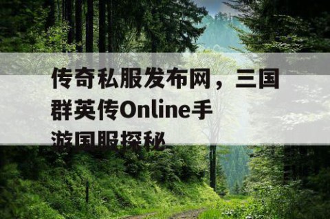 传奇私服发布网,三国群英传Online手游国服探秘