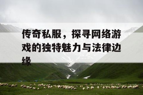 传奇私服,探寻网络游戏的独特魅力与法律边缘