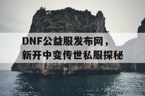 DNF公益服发布网，新开中变传世私服探秘