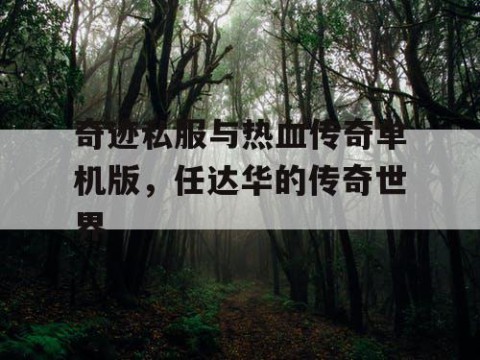 奇迹私服与热血传奇单机版，任达华的传奇世界