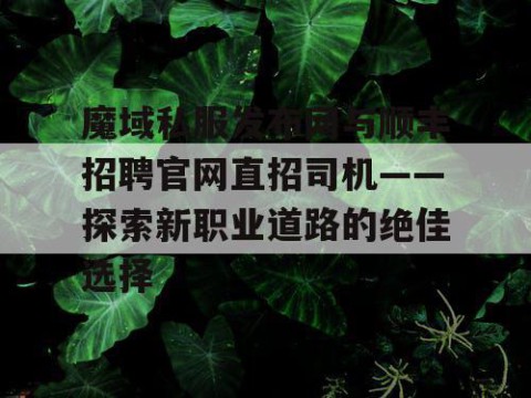 魔域私服发布网与顺丰招聘官网直招司机——探索新职业道路的绝佳选择