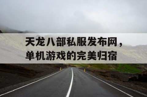 天龙八部私服发布网，单机游戏的完美归宿