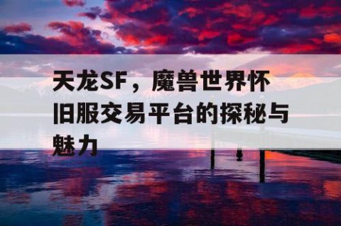 天龙SF，魔兽世界怀旧服交易平台的探秘与魅力