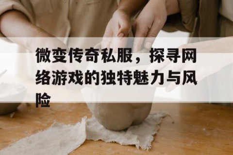 微变传奇私服，探寻网络游戏的独特魅力与风险