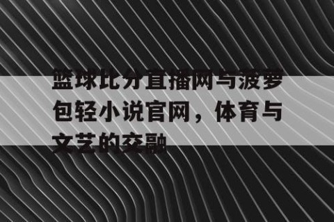 篮球比分直播网与菠萝包轻小说官网，体育与文艺的交融