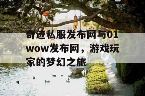 奇迹私服发布网与01wow发布网，游戏玩家的梦幻之旅