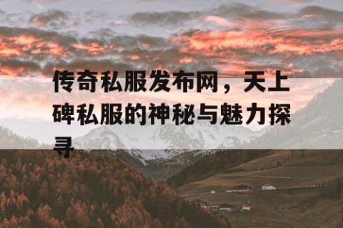 传奇私服发布网,天上碑私服的神秘与魅力探寻