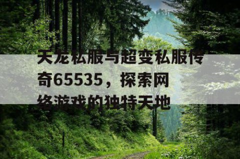 天龙私服与超变私服传奇65535，探索网络游戏的独特天地