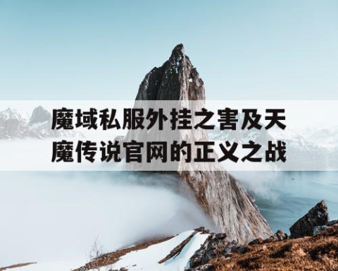 魔域私服外挂之害及天魔传说官网的正义之战