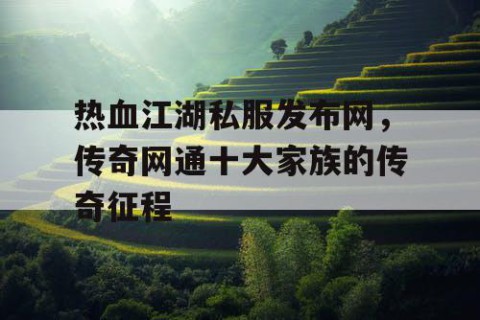 热血江湖私服发布网，传奇网通十大家族的传奇征程