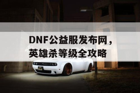 DNF公益服发布网，英雄杀等级全攻略