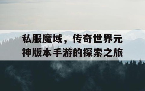 私服魔域，传奇世界元神版本手游的探索之旅