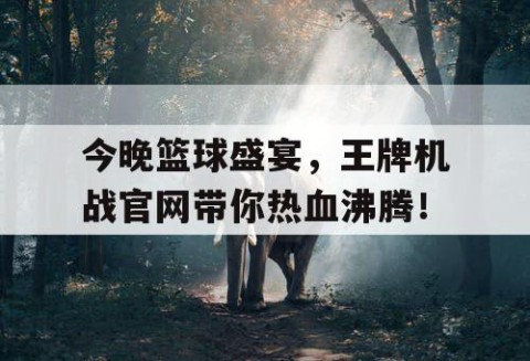 今晚篮球盛宴，王牌机战官网带你热血沸腾！