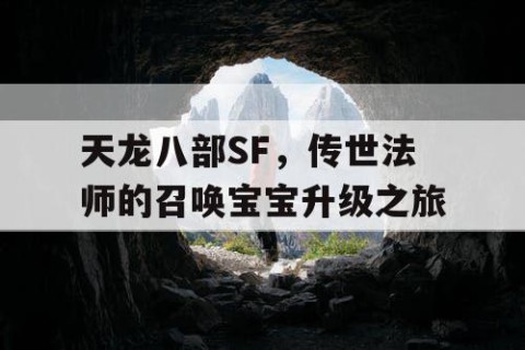 天龙八部SF，传世法师的召唤宝宝升级之旅