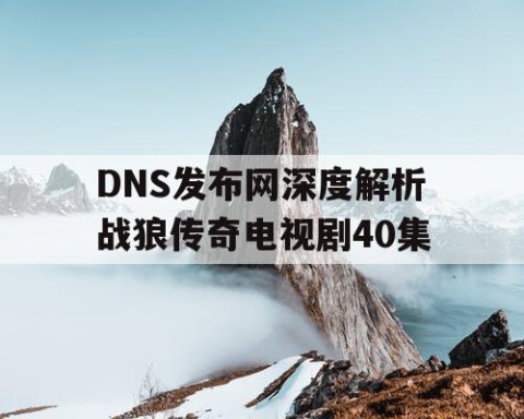 DNS发布网深度解析战狼传奇电视剧40集