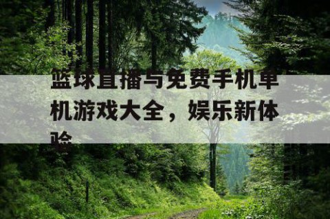 篮球直播与免费手机单机游戏大全,娱乐新体验