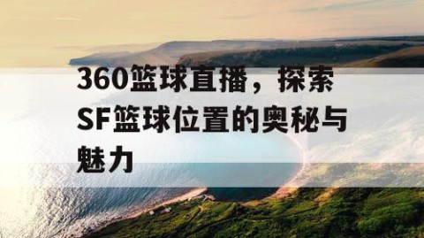 360篮球直播，探索SF篮球位置的奥秘与魅力
