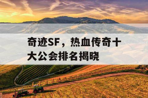 奇迹SF，热血传奇十大公会排名揭晓