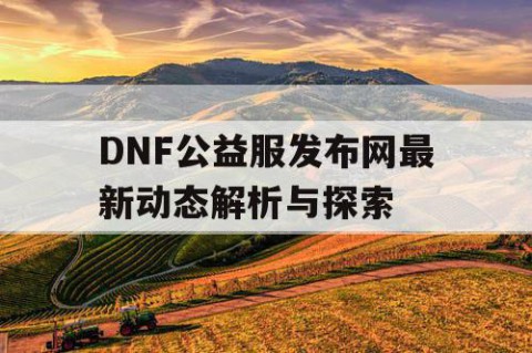 DNF公益服发布网最新动态解析与探索