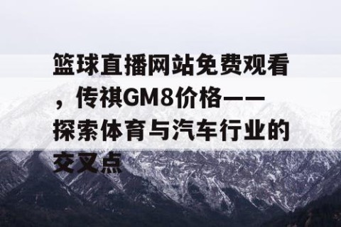 篮球直播网站免费观看，传祺GM8价格——探索体育与汽车行业的交叉点