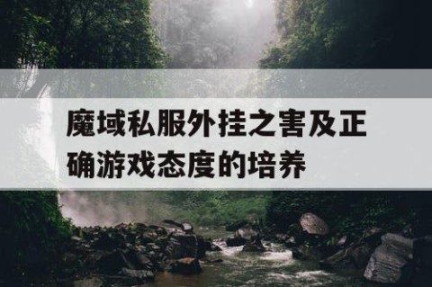 魔域私服外挂之害及正确游戏态度的培养