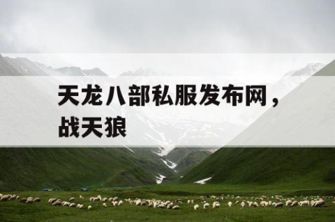 天龙八部私服发布网，战天狼