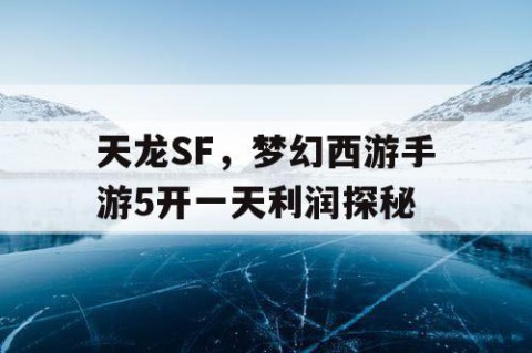 天龙SF，梦幻西游手游5开一天利润探秘