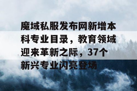 魔域私服发布网新增本科专业目录，教育领域迎来革新之际，37个新兴专业闪亮登场