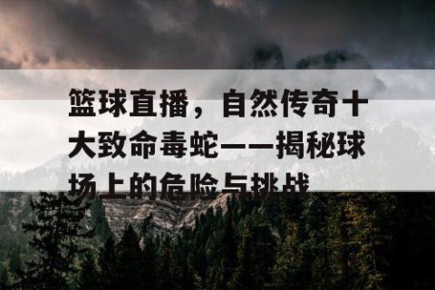 篮球直播，自然传奇十大致命毒蛇——揭秘球场上的危险与挑战