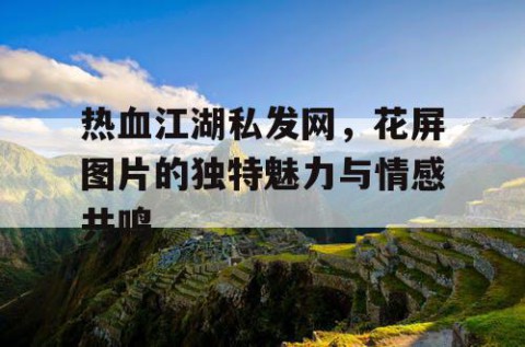 热血江湖私发网，花屏图片的独特魅力与情感共鸣